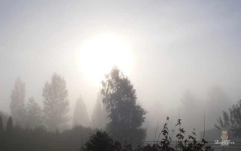 Sunrise through morning fog