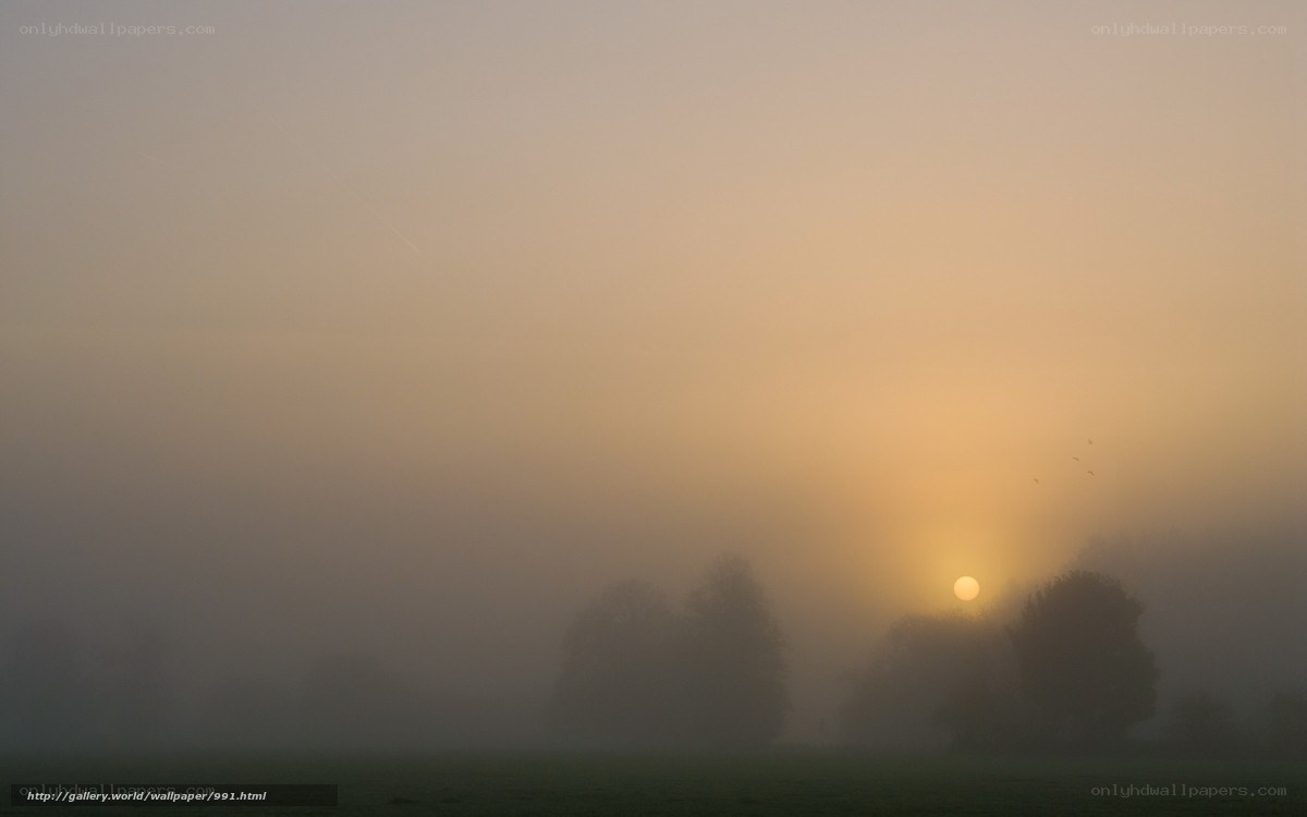 Sunrise through morning fog