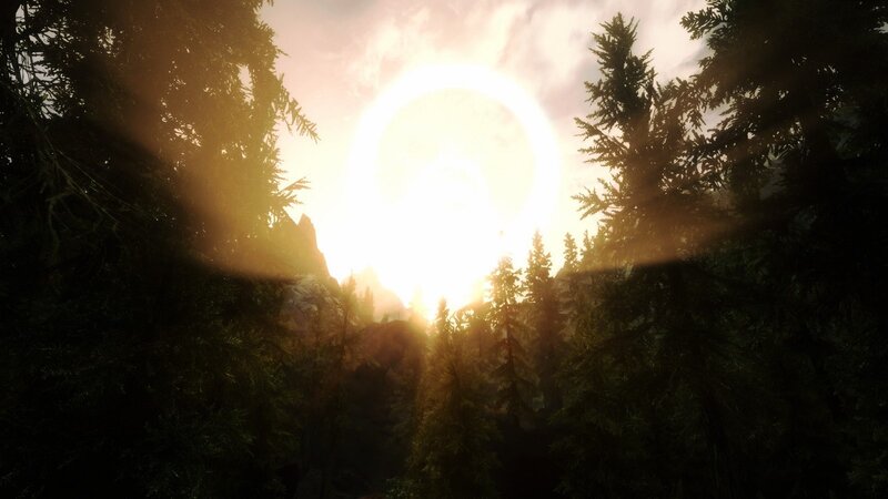 Sunrise Through Pine Trees — Green, Serene, 3d Render