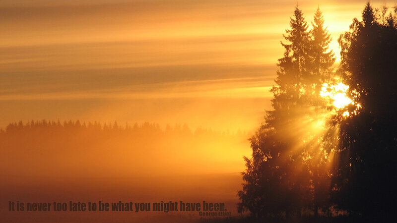 Sunrise through the trees