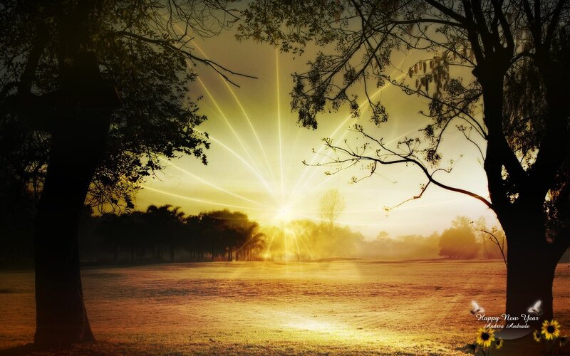 Sunrise through the trees