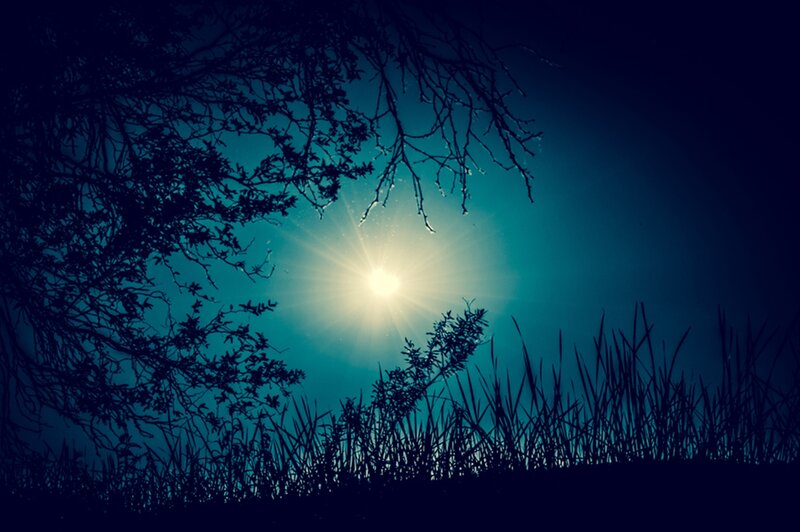 Sunrise Through Tree Branches — Blue