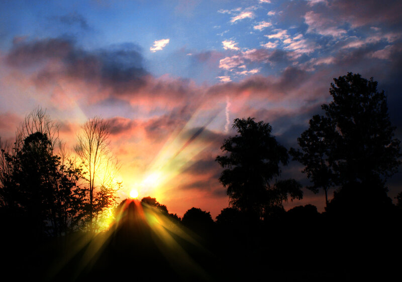 Sunrise Through Trees — Blue, Dramatic