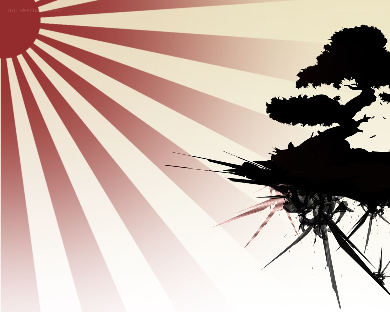 Sunrise with bonsai silhouette