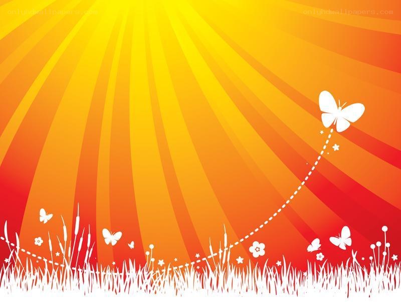 Sunrise with butterflies