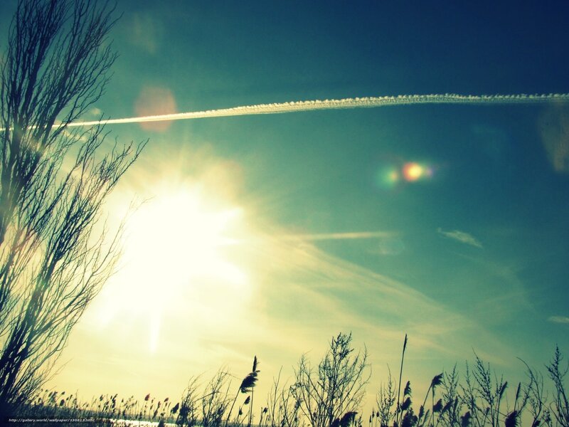 Sunrise with contrail