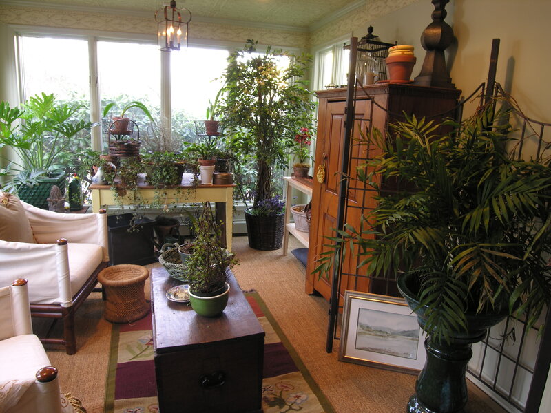 Sunroom with Plants