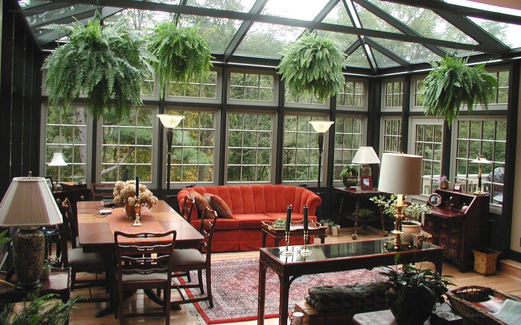 Sunroom with red sofa and plants