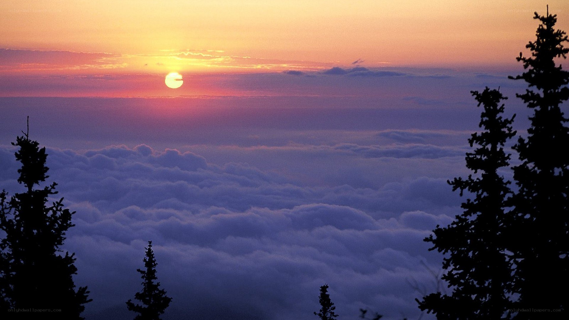 Sunset above the clouds