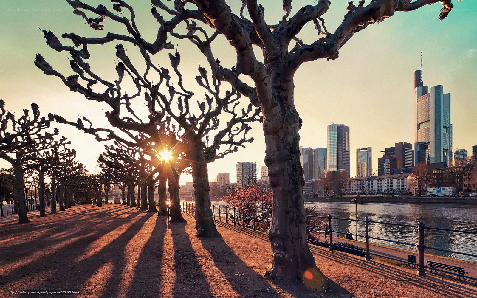 Sunset along the riverbank