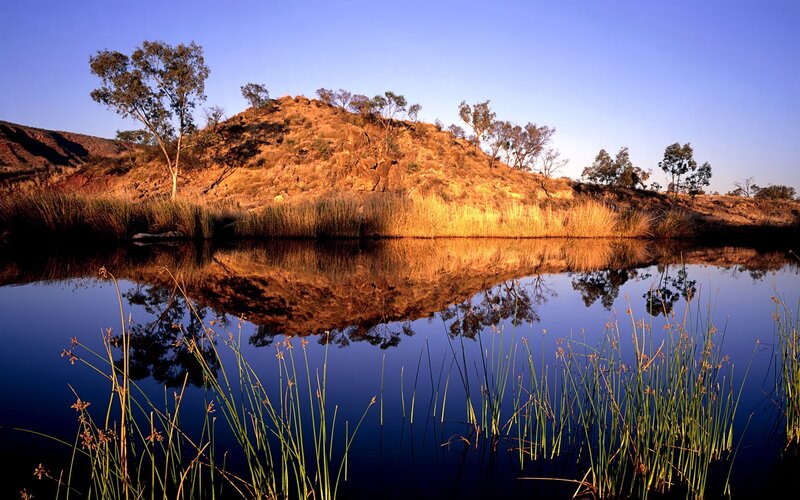 Sunset at a desert oasis