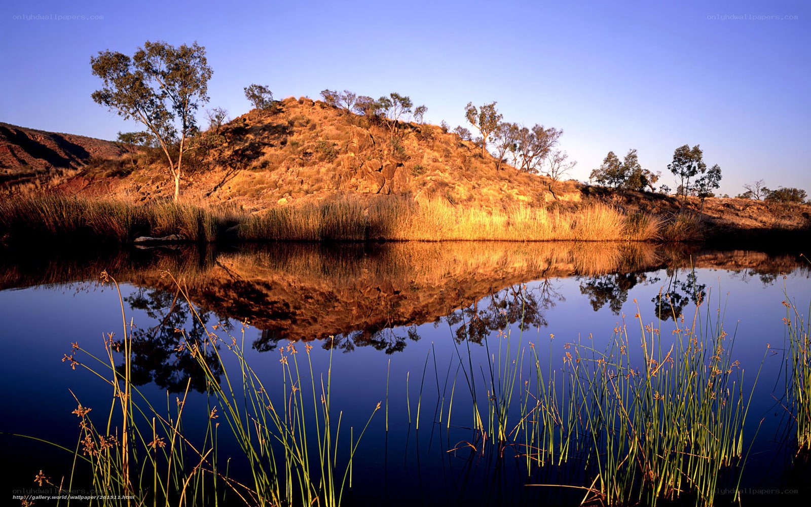 Sunset at a desert waterhole