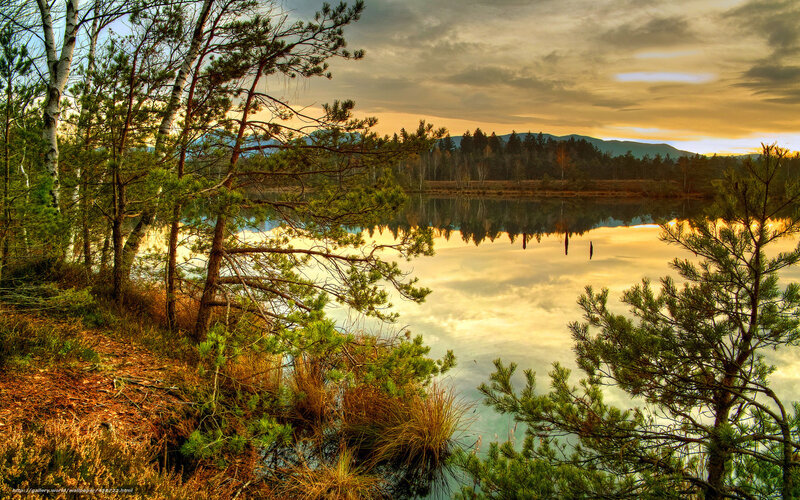Sunset at a forest lake