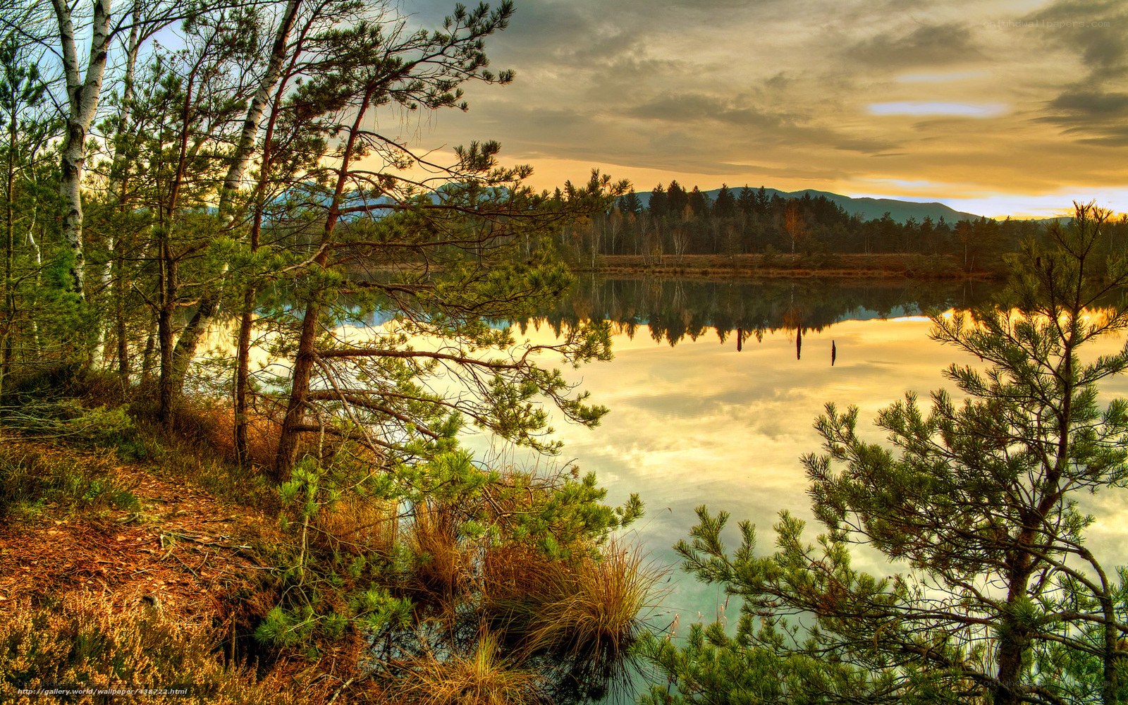 Sunset at a forest lake