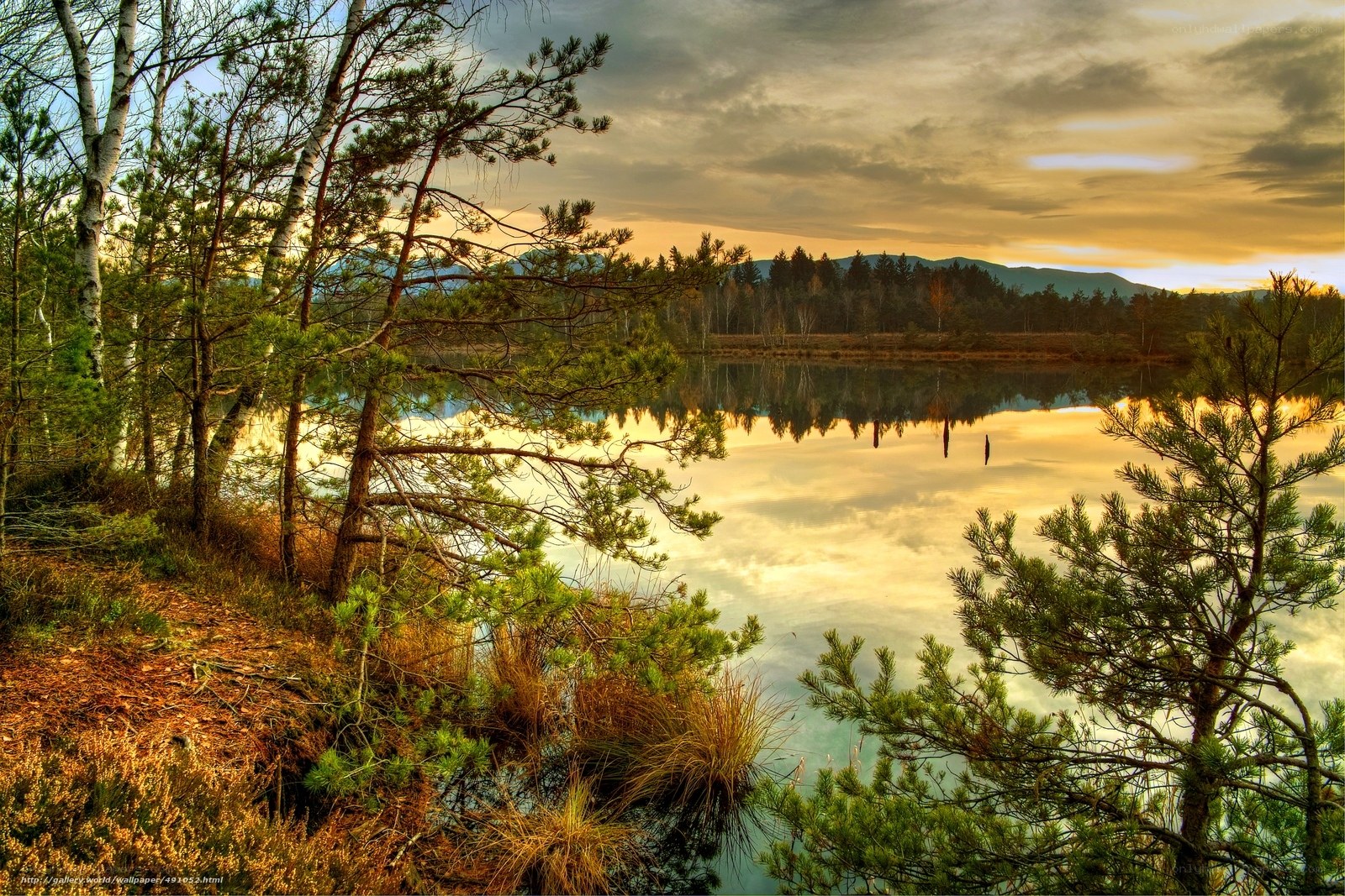 Sunset at a forest lake