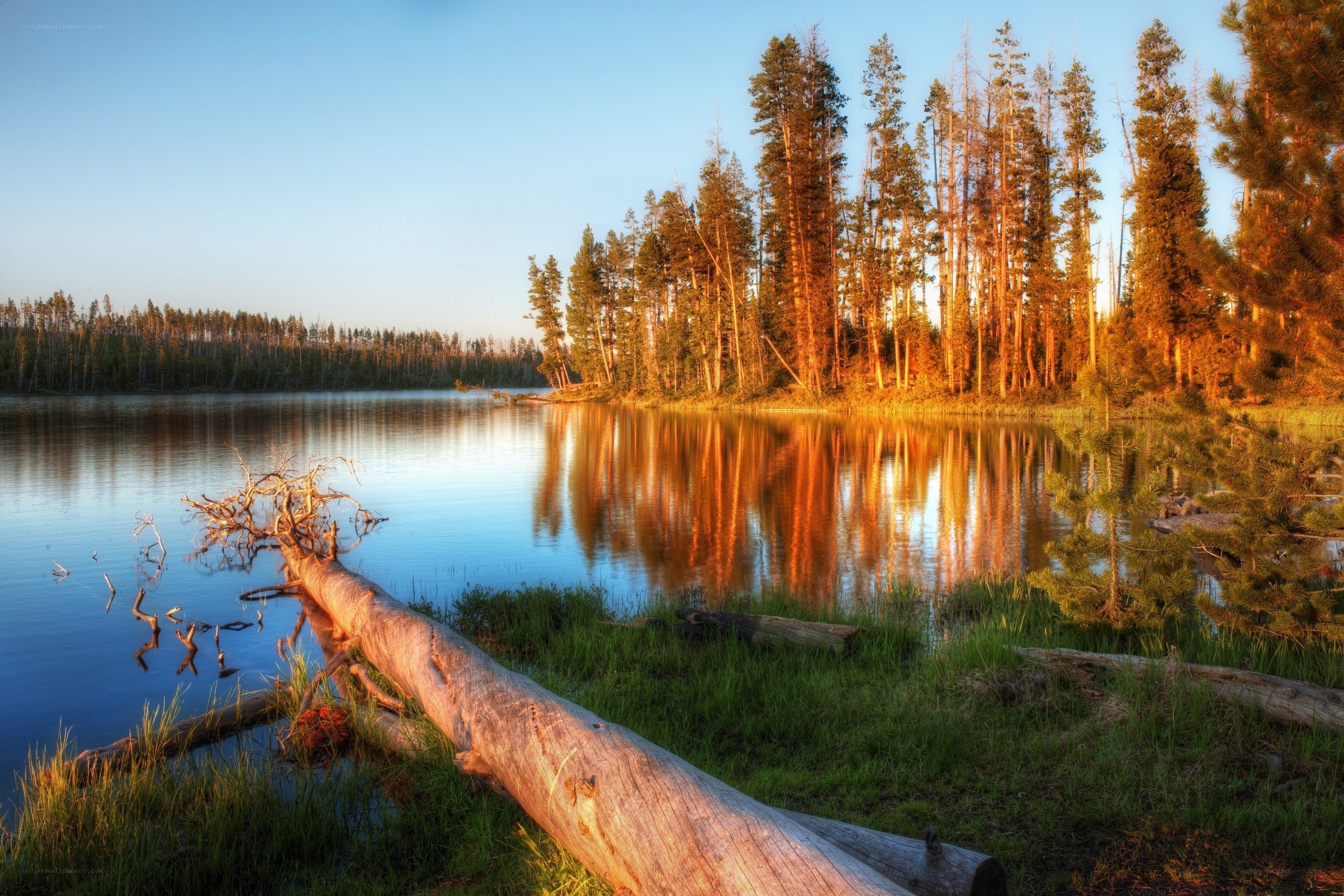 Sunset at a forest lake