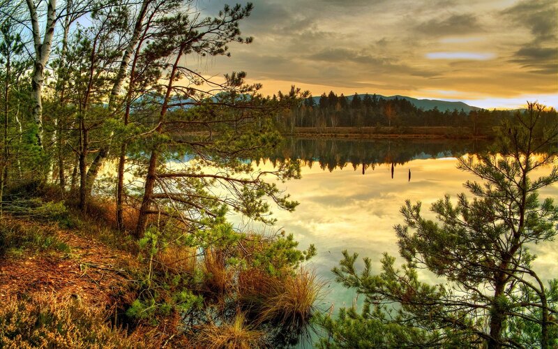 Sunset at a forest lake