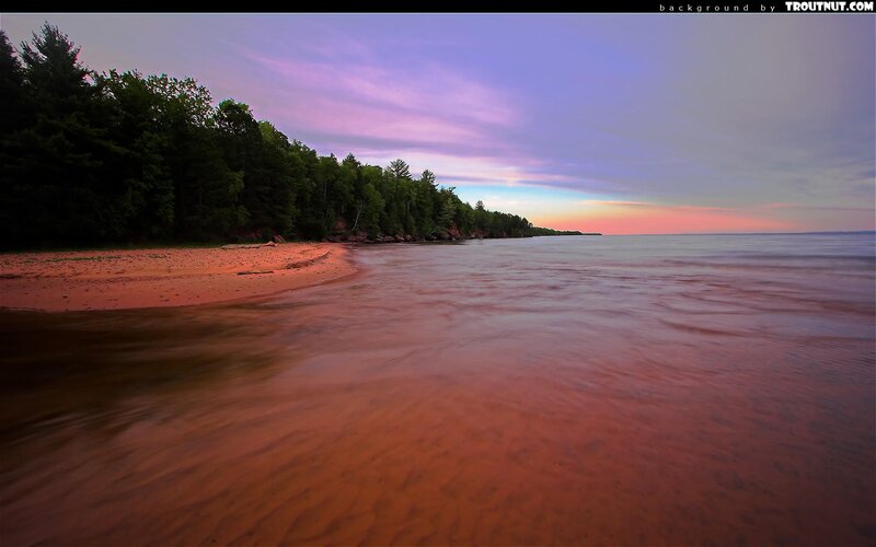 sunset at a forested beach