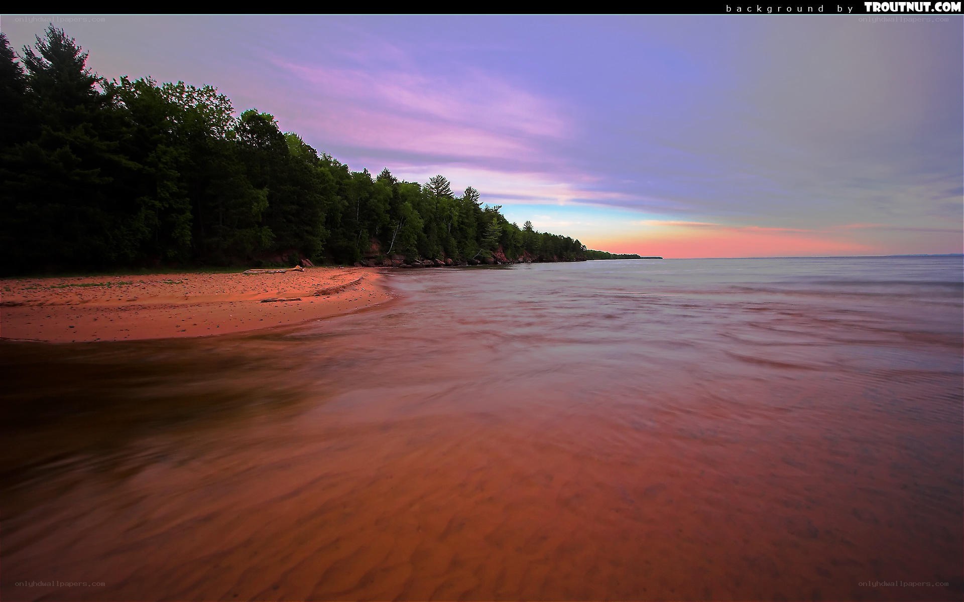 sunset at a forested beach