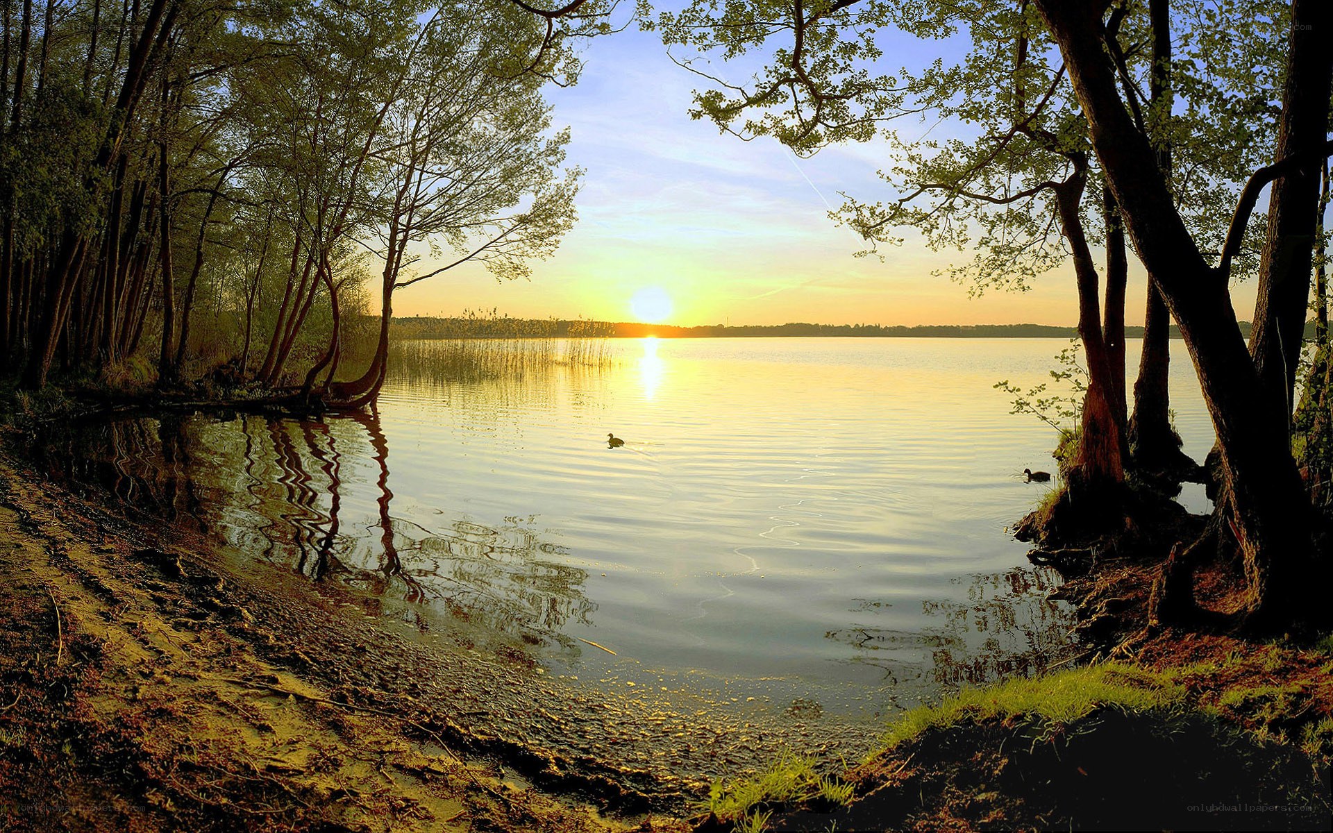 Sunset at a tranquil lake