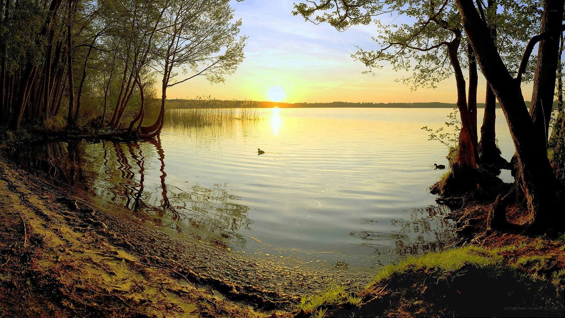 Sunset at a tranquil lake