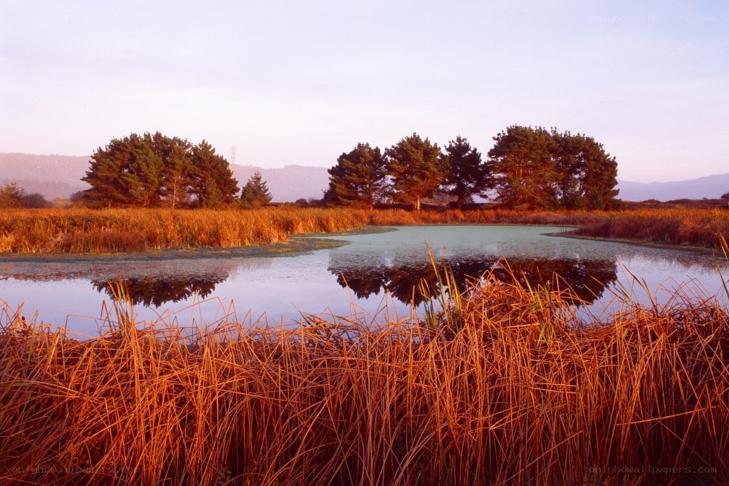 Sunset at a tranquil marsh