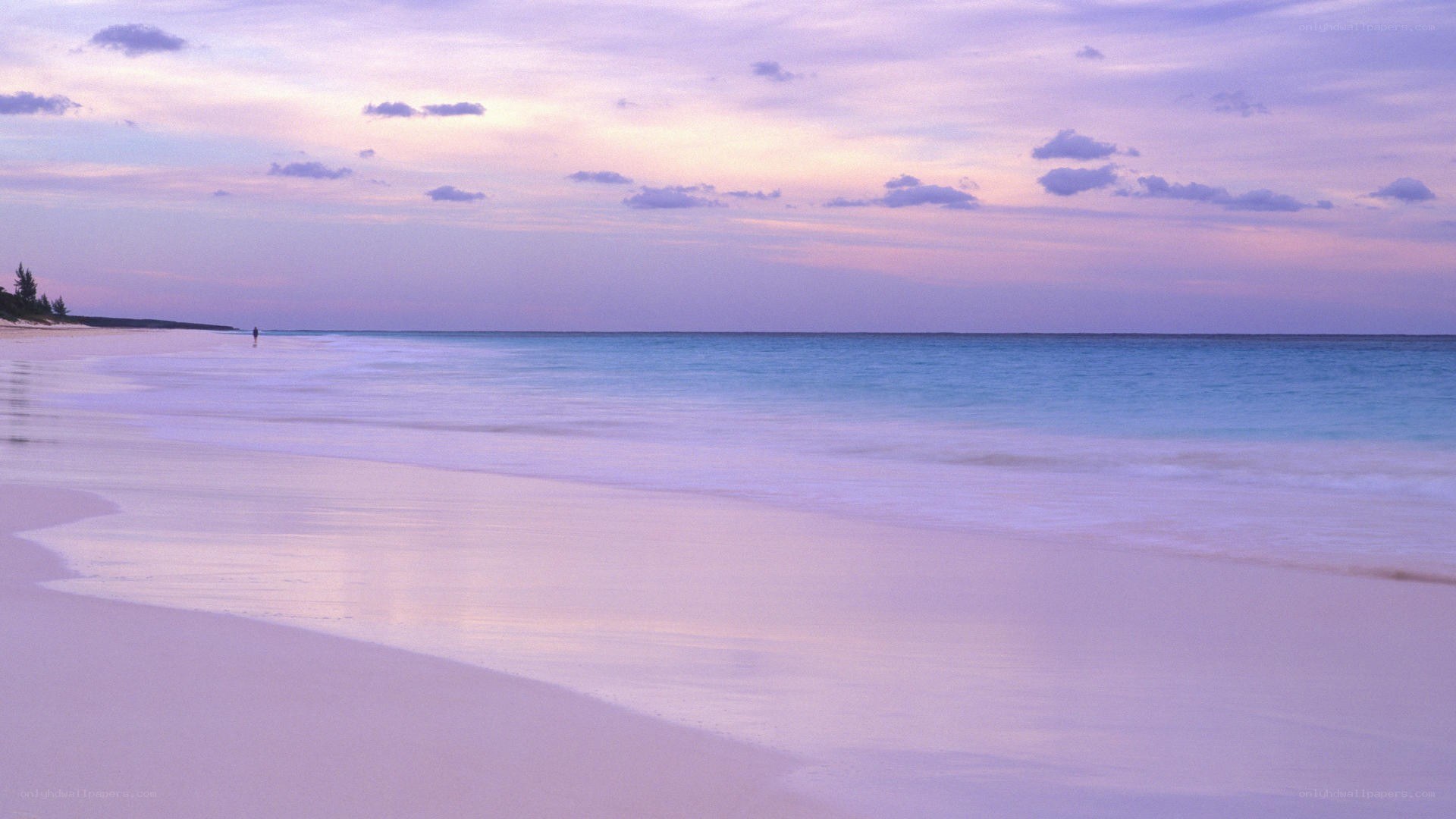 sunset at a tropical beach