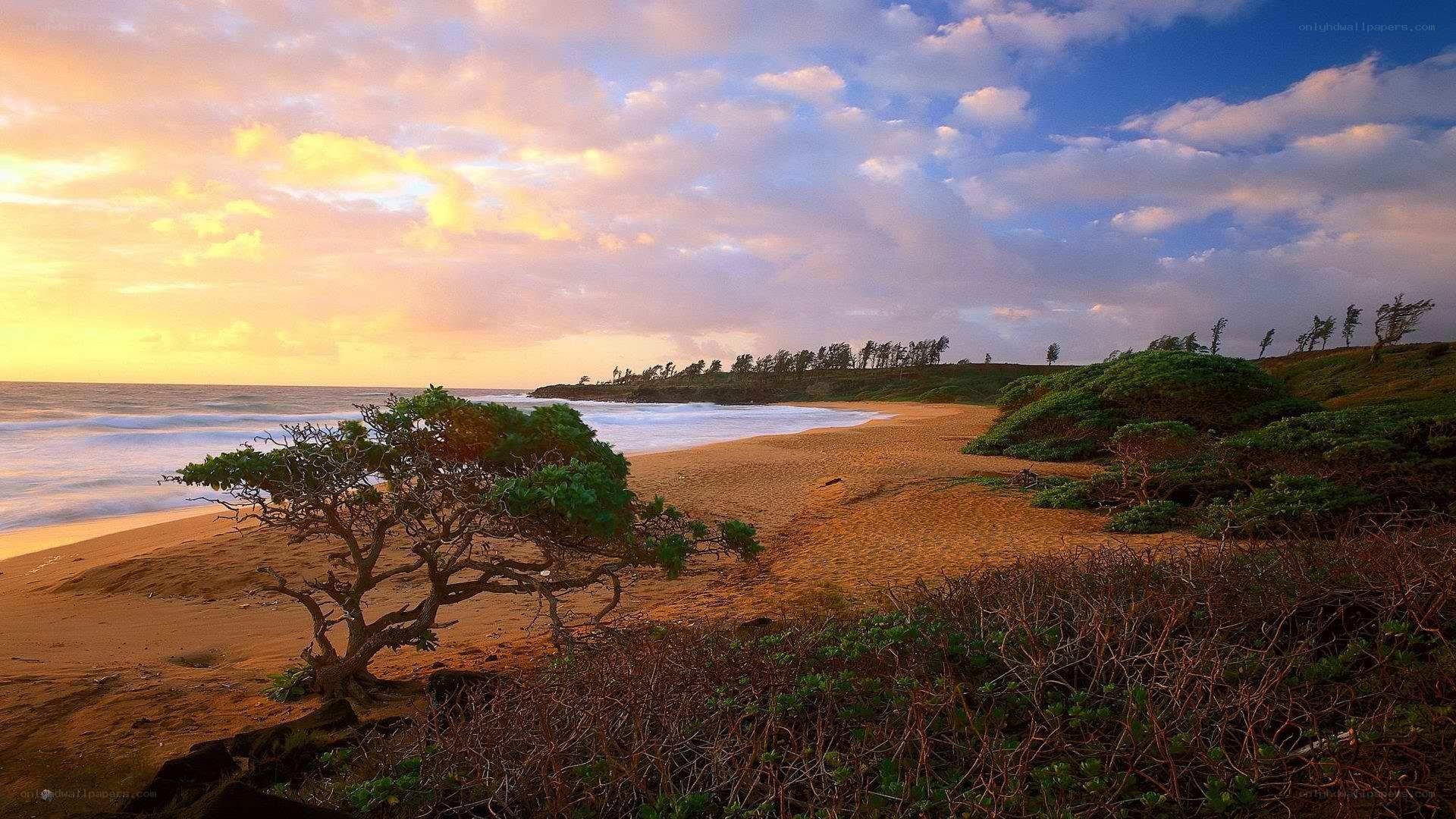 sunset at a tropical beach