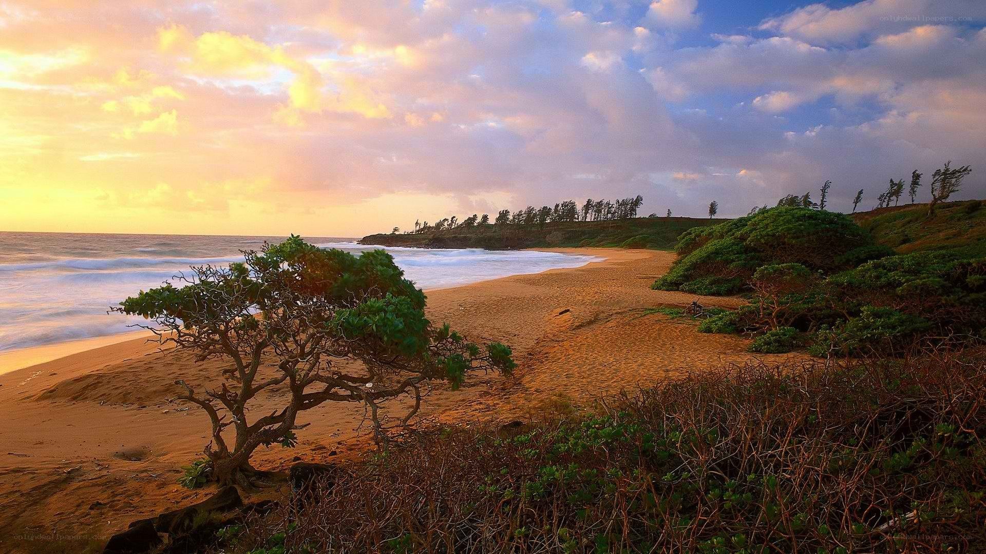 sunset at a tropical beach
