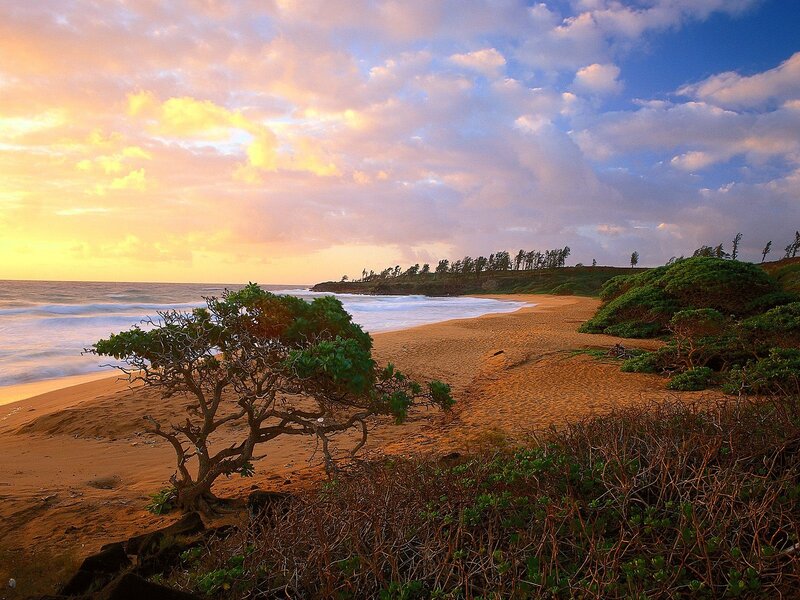 sunset at a tropical beach