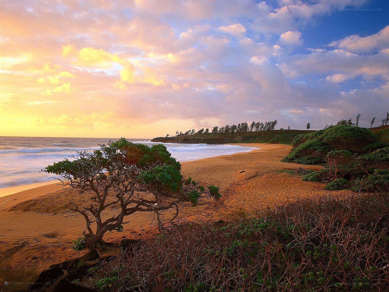 sunset at a tropical beach