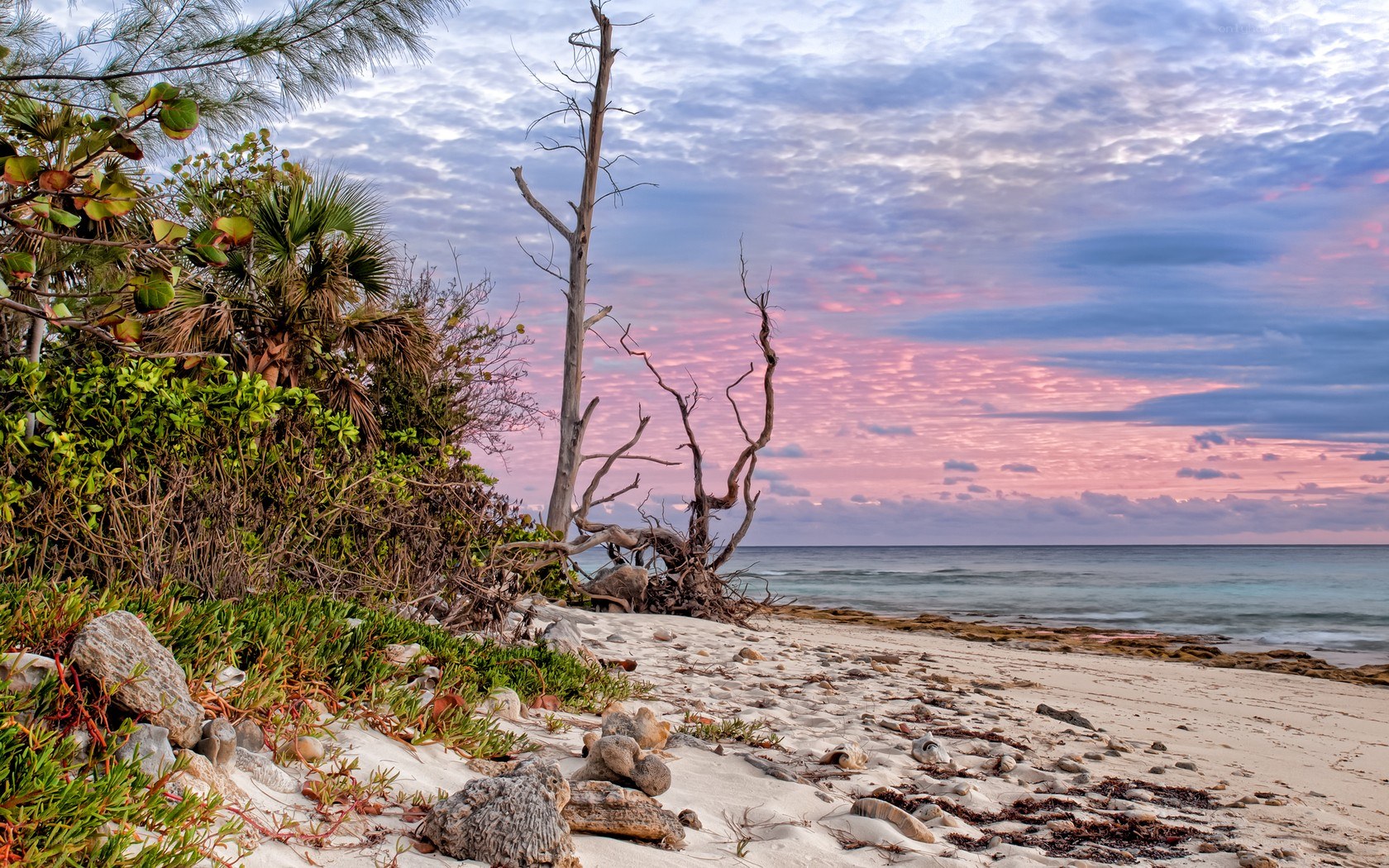 sunset at a tropical beach
