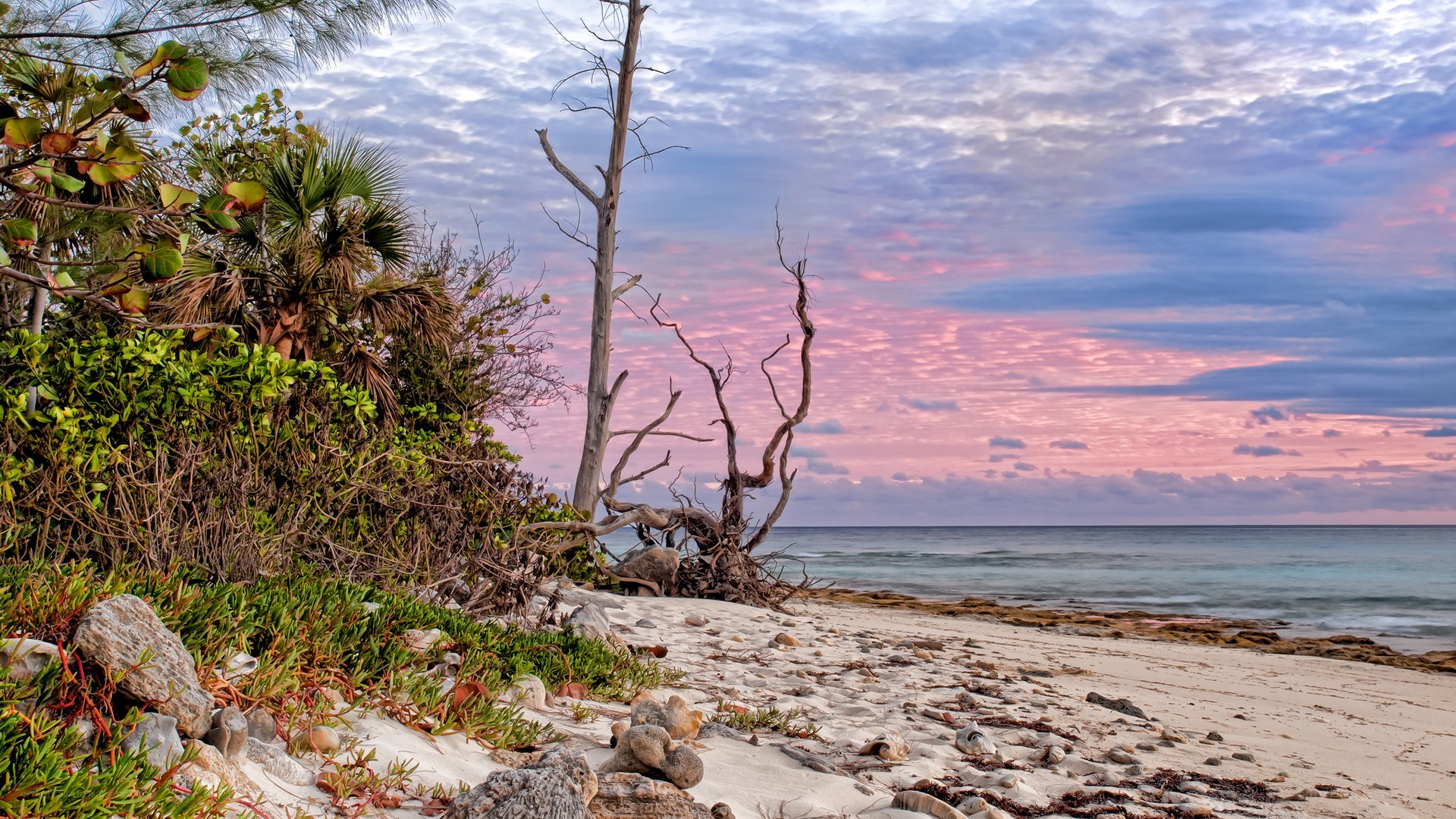 sunset at a tropical beach