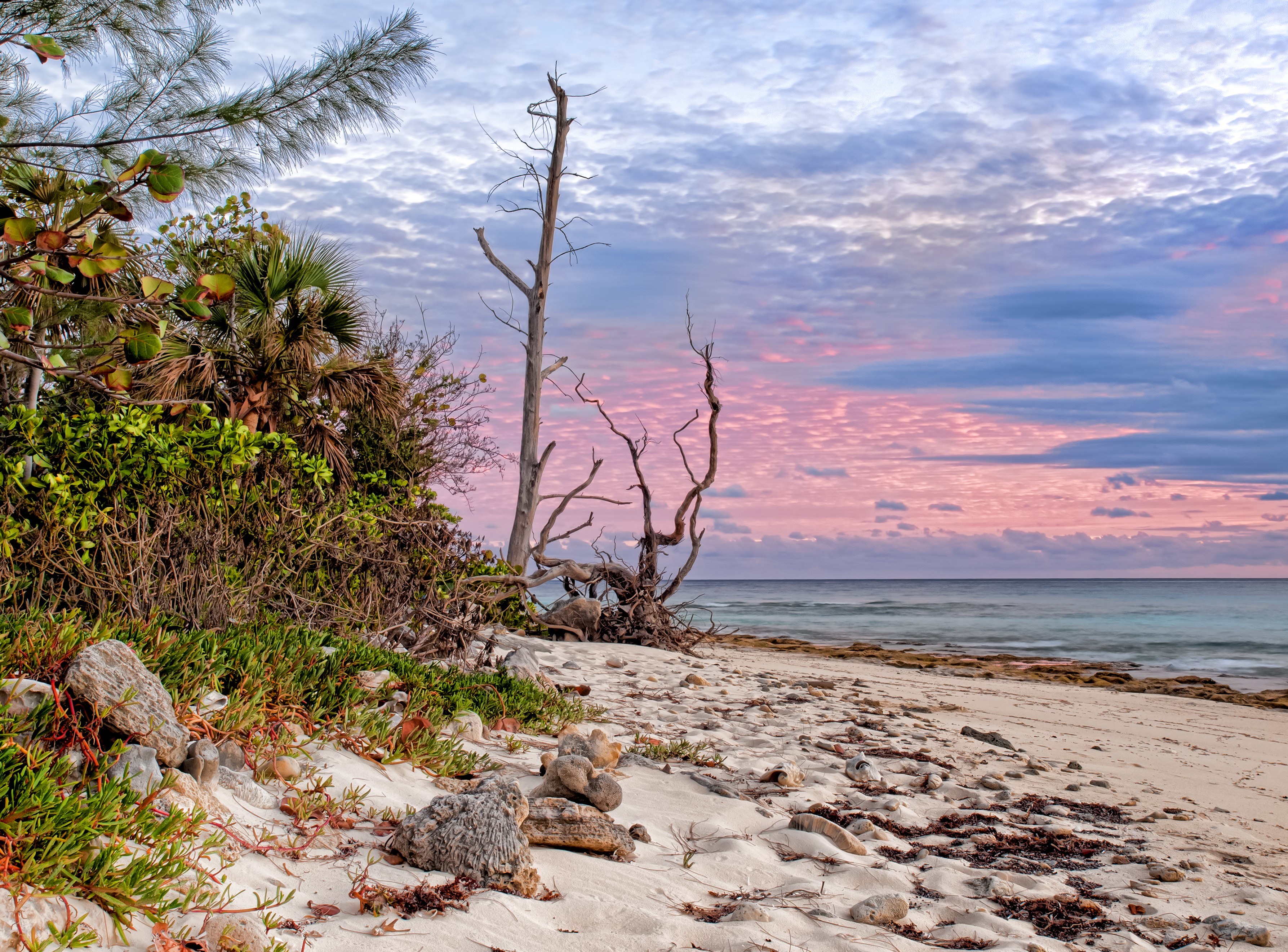 sunset at a tropical beach