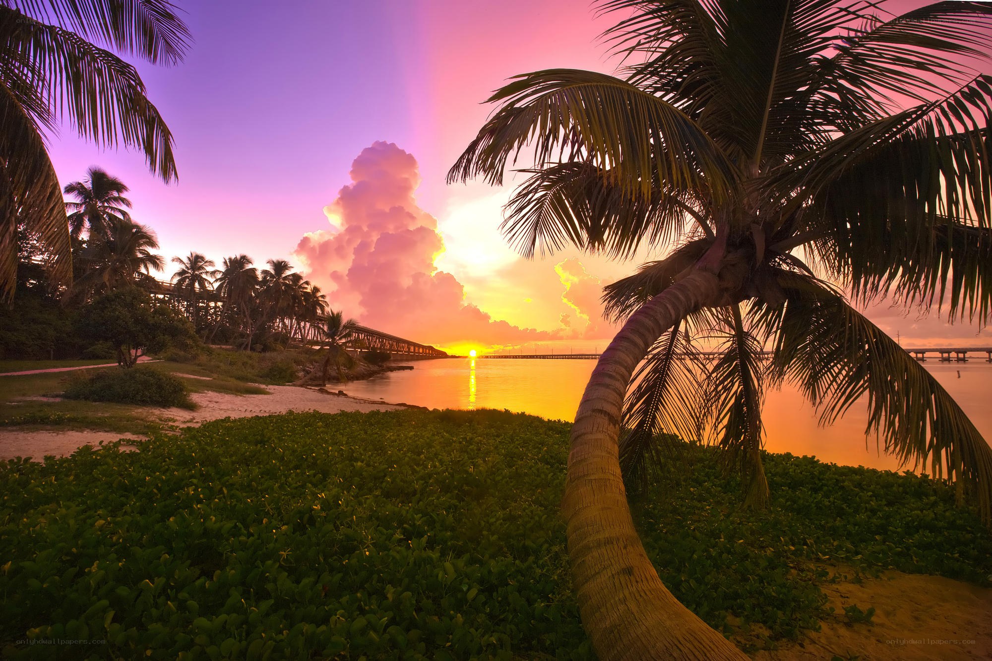 Sunset at a tropical beach