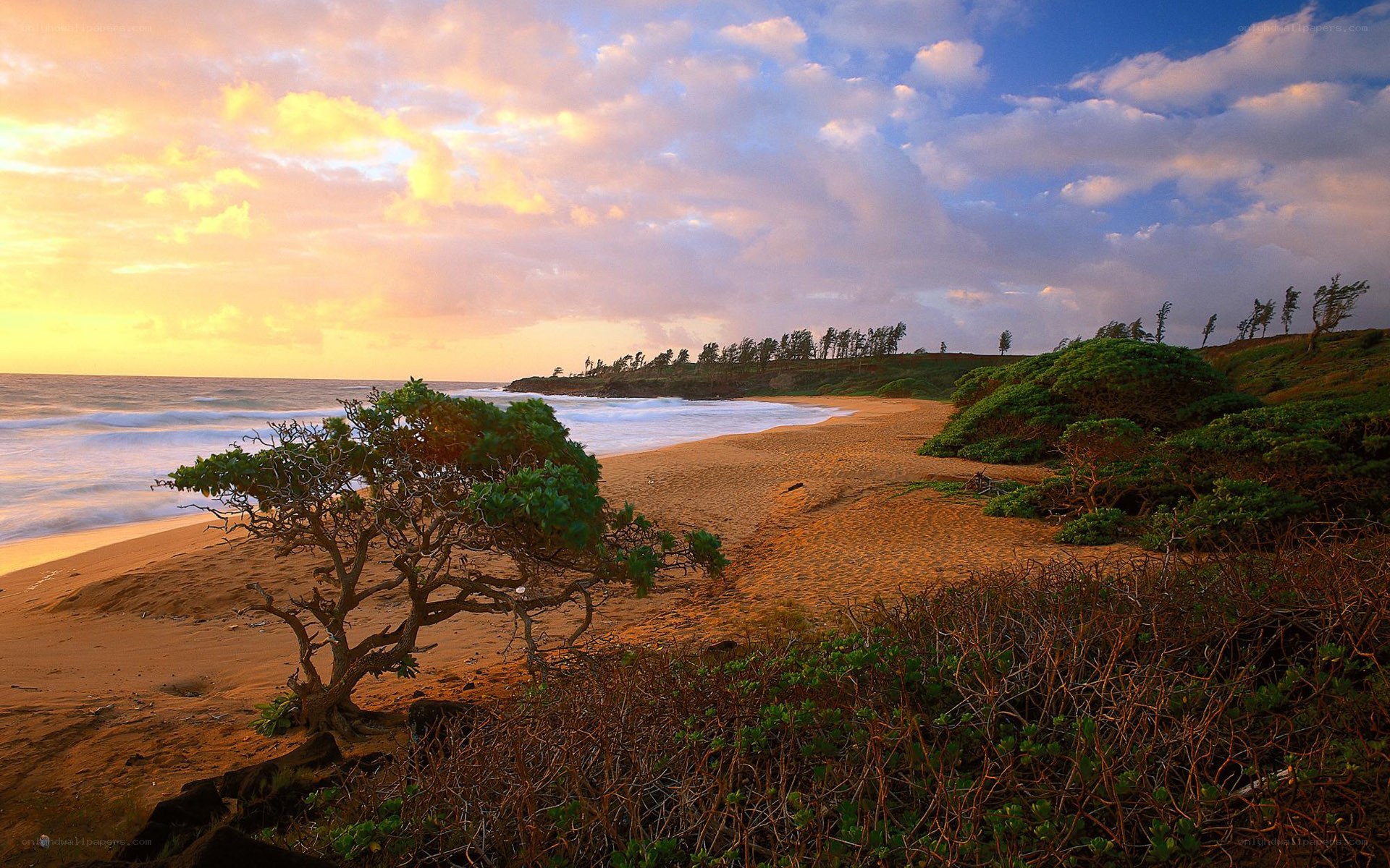 sunset at a tropical beach