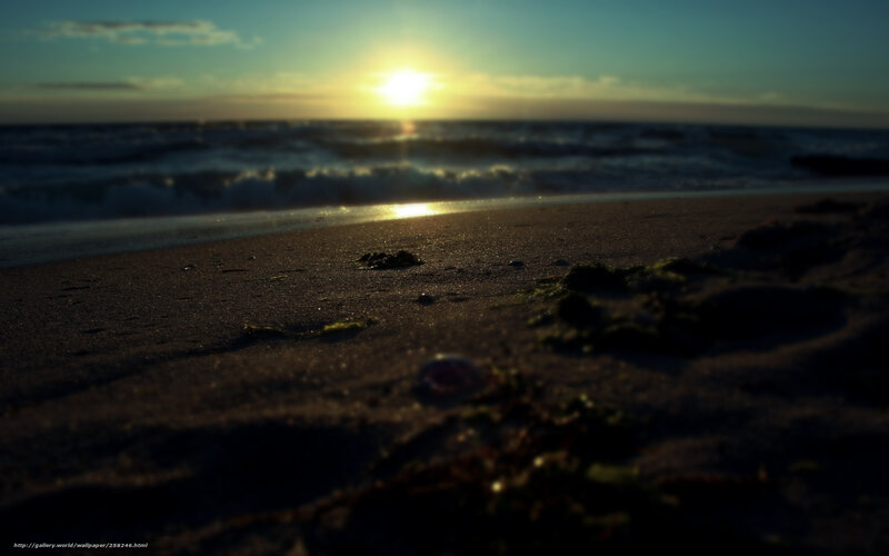 Sunset at Beach — Blue, Serene