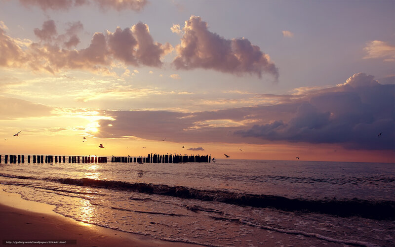 Sunset at Beach — Orange, Serene, Photograph, Clouds