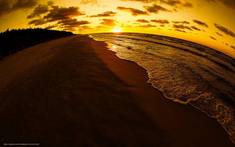 Sunset at Beach — Yellow, Dramatic, Photograph