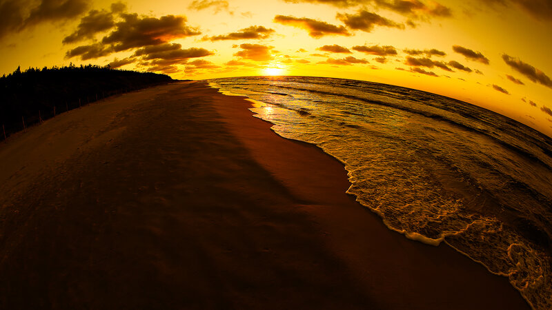 Sunset at Beach — Yellow, Dramatic