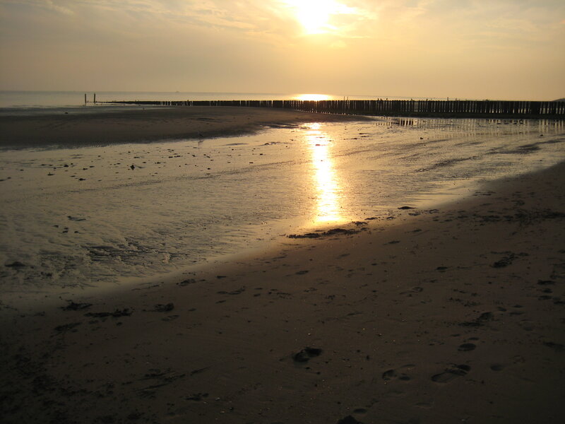Sunset at Beach — Yellow, Serene, Photograph