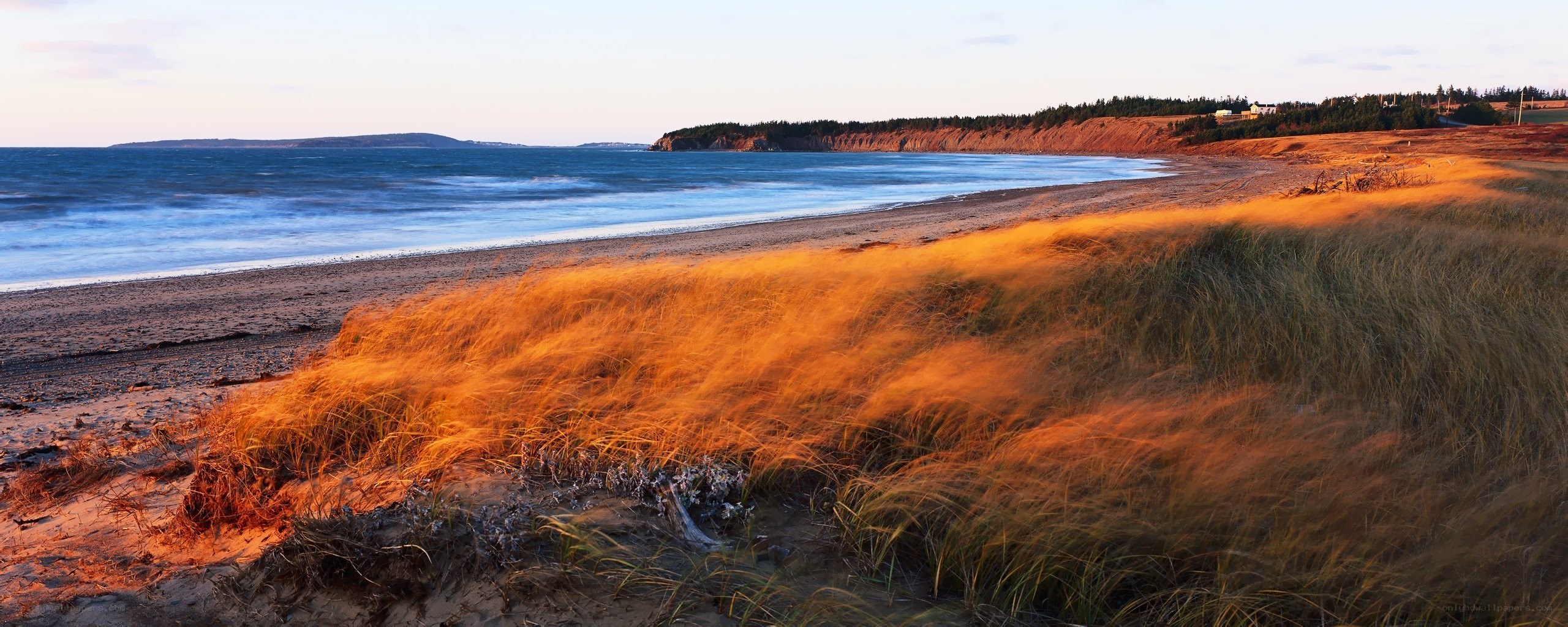 sunset at coastal dunes