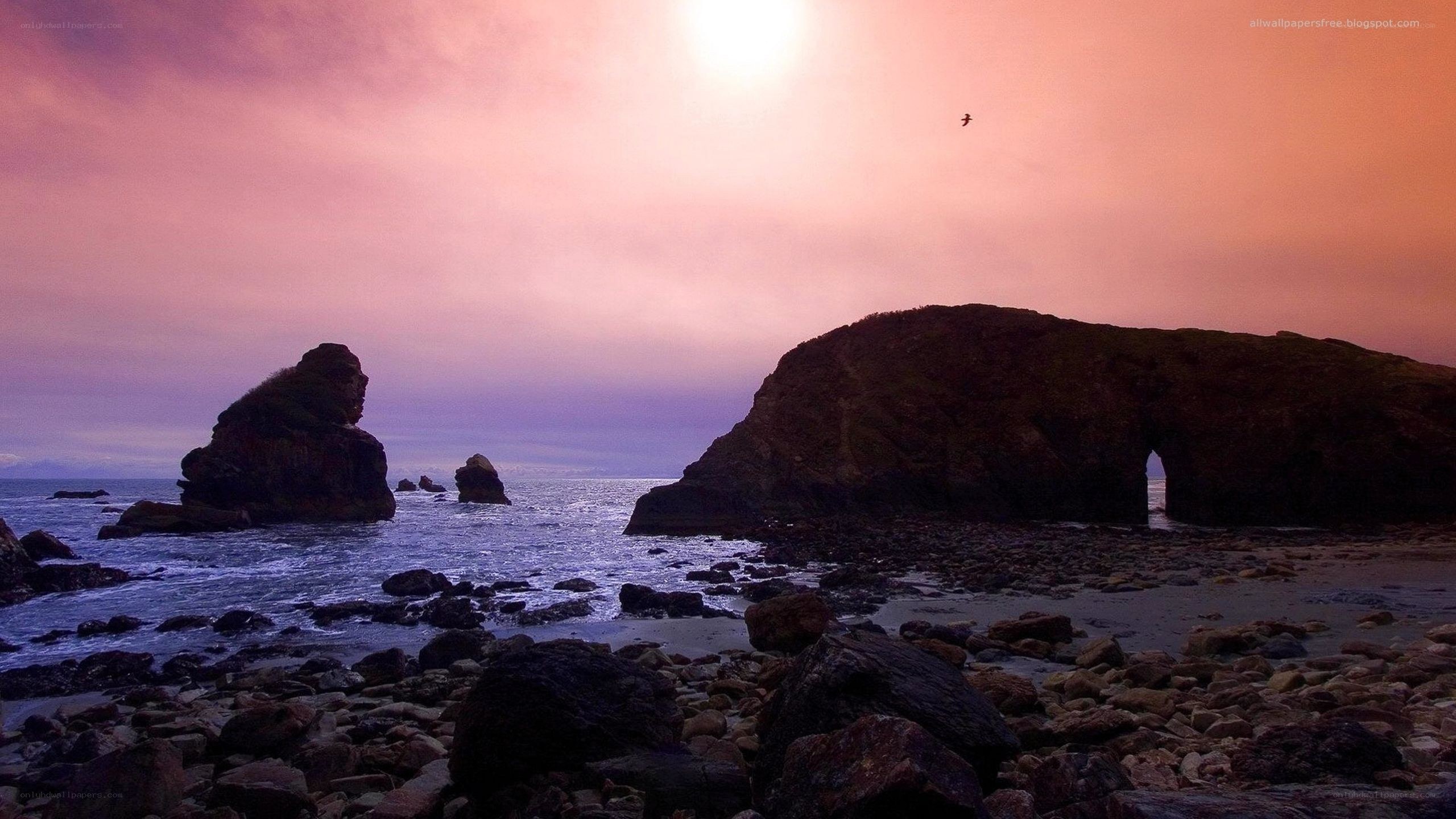 Sunset at coastal rock formations