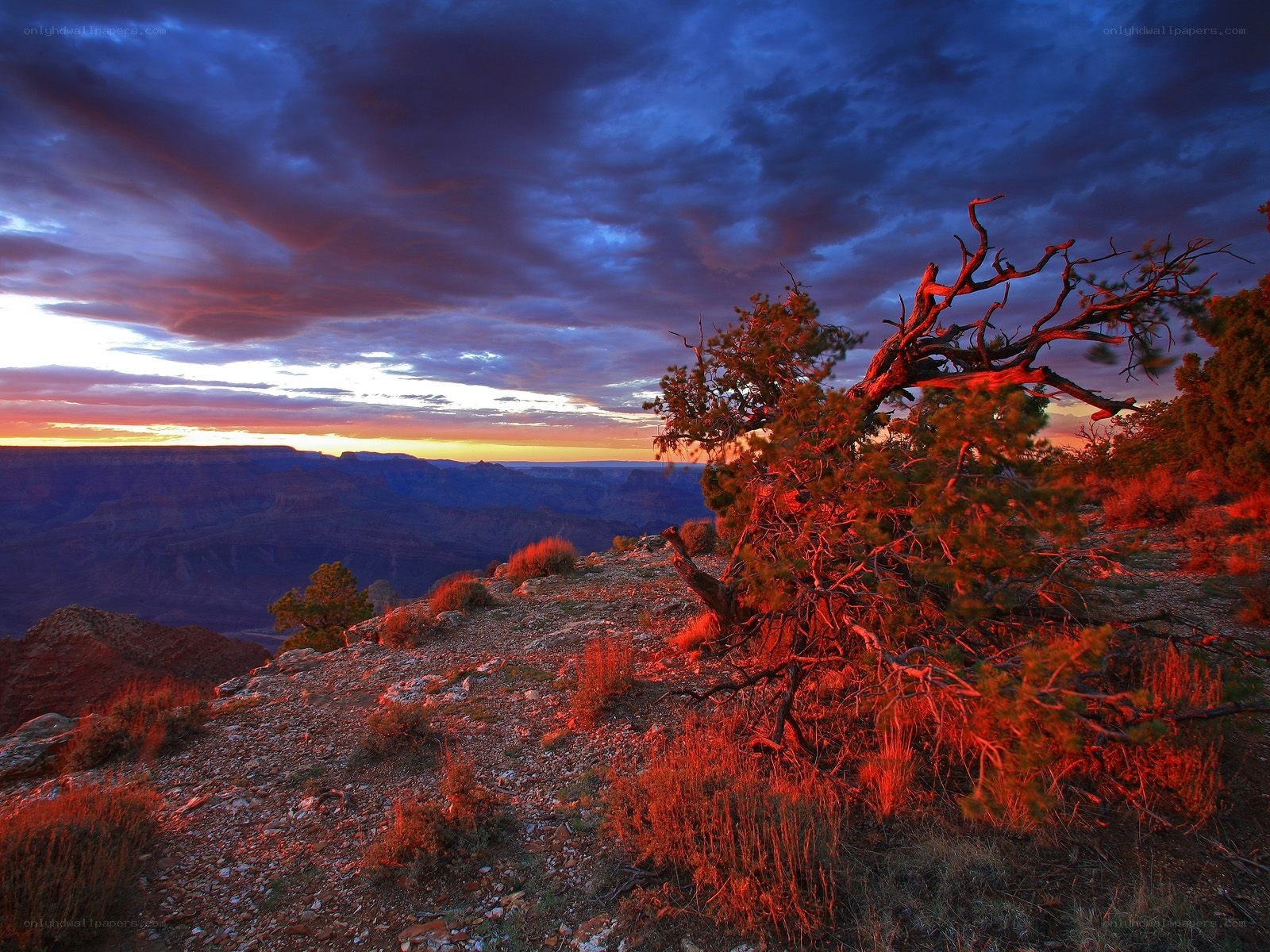 Sunset at Grand Canyon