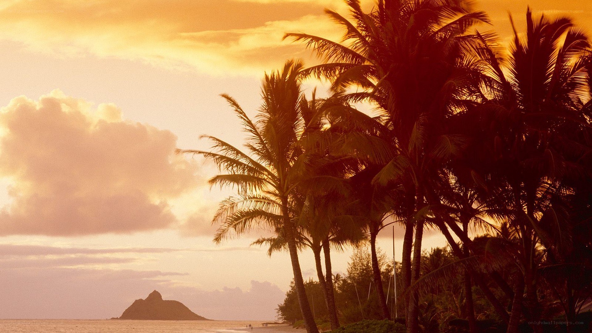 sunset at hanauma bay