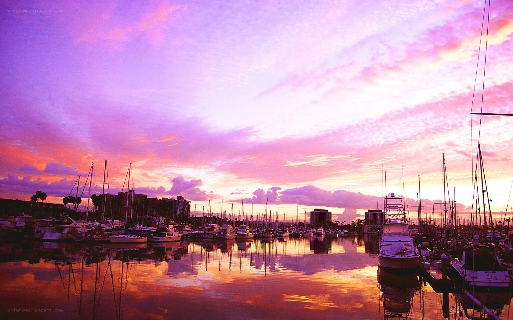 sunset at marina with boats
