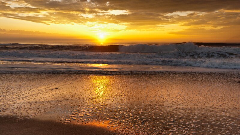 Sunset at Ocean Beach — Gold, Serene