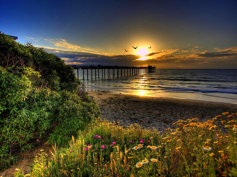 Sunset at Ocean Pier — Blue