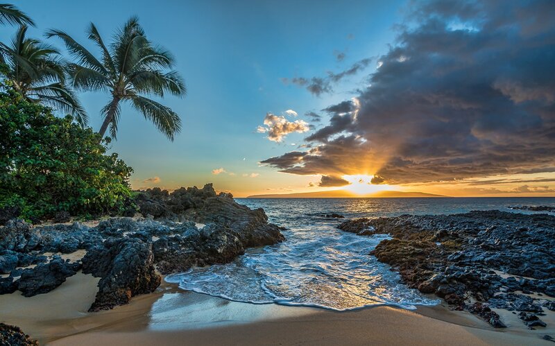 Sunset at Rocky Beach — Blue, Dramatic, Photograph, Palm Tree