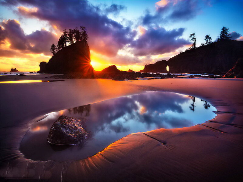 Sunset at Rocky Beach — Orange, Dramatic, Photograph, Rocks, Trees